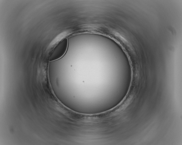 X0000114141354200910221516