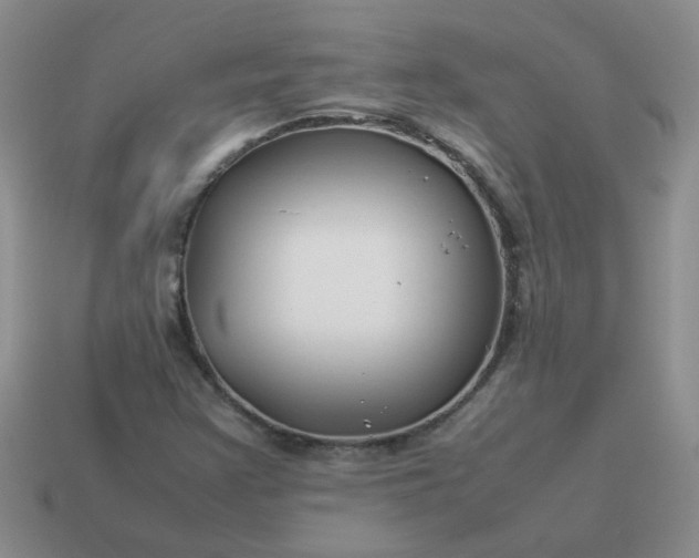 X0000114141355200910221516