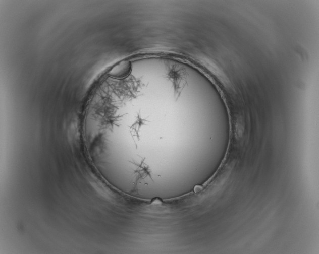 X0000114141356200910221516