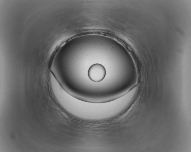 X0000114141357200910221516