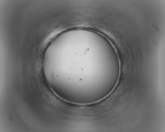 X0000114141359200910221516