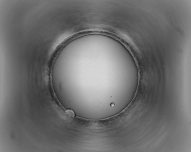 X0000114141360200910221516