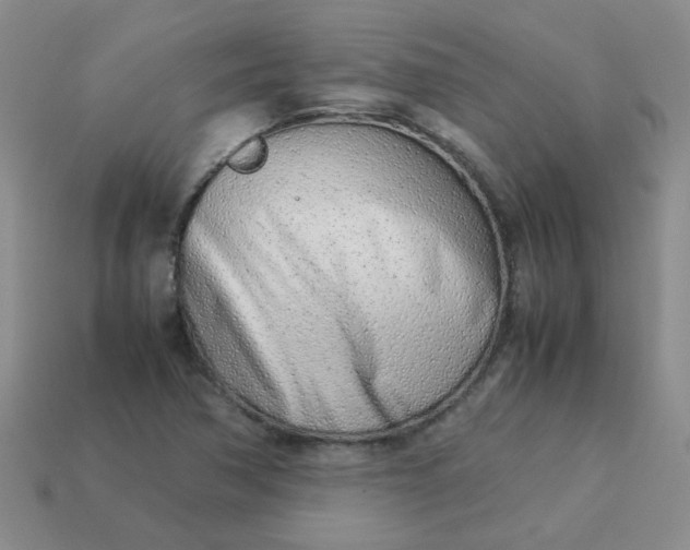 X0000114141362200910221516