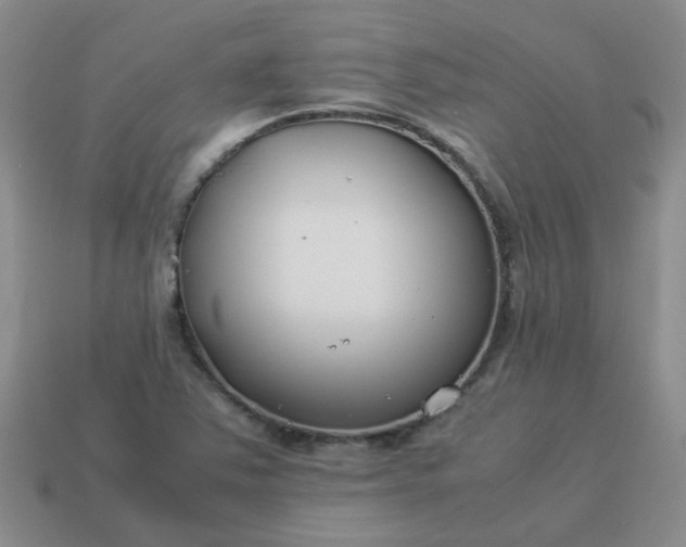 X0000114141363200910221516