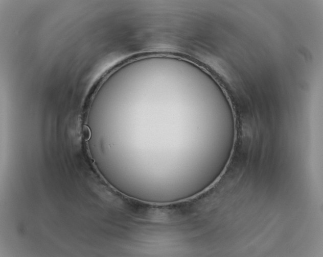 X0000114141364200910221516