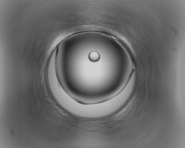 X0000114141365200910221516