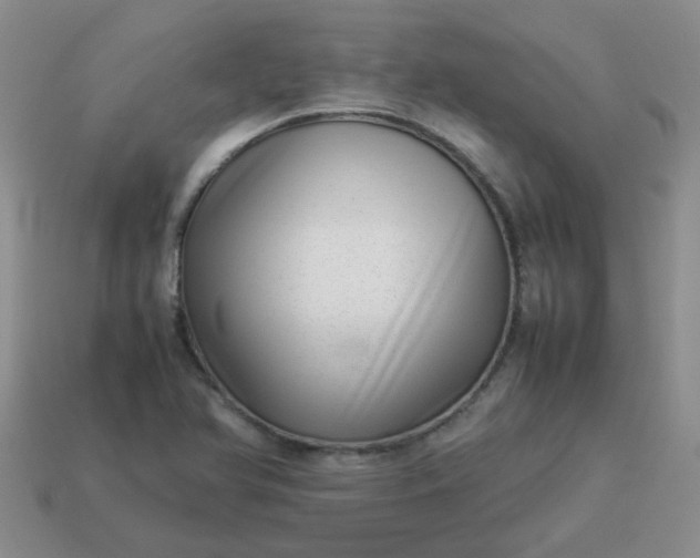 X0000114141366200910221516