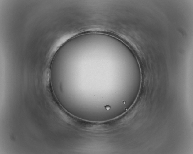 X0000114141367200910221516