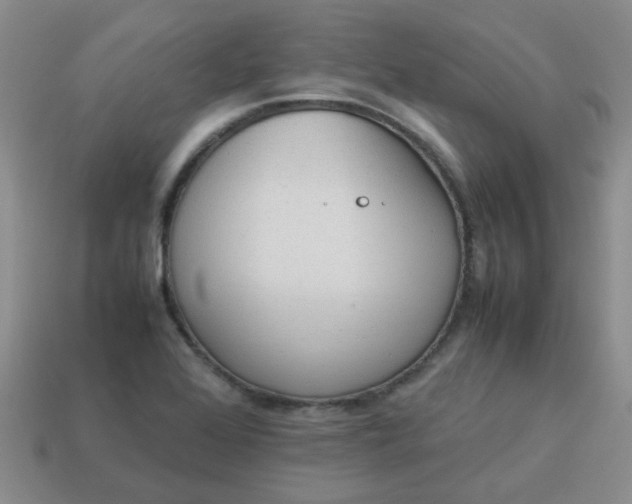 X0000114141368200910221516