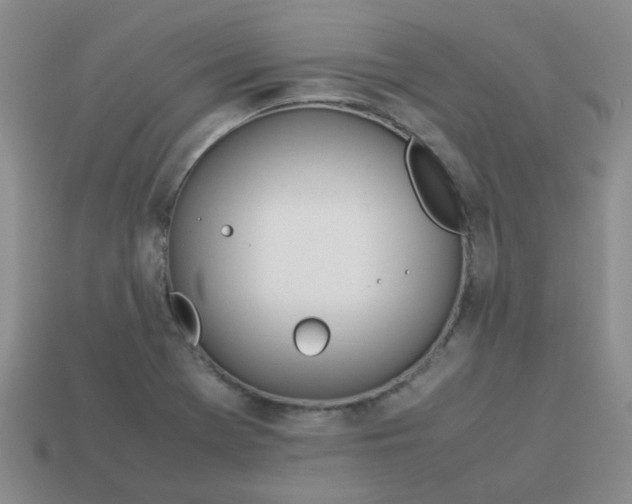 X0000114141369200910221516