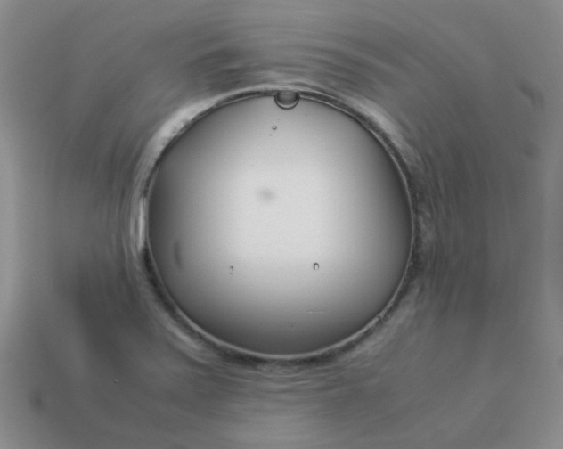 X0000114141371200910221516