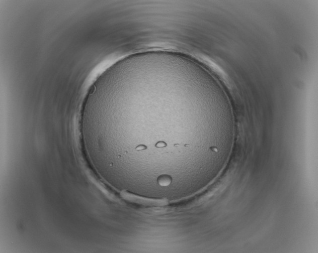 X0000114141373200910221516