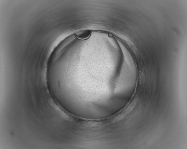 X0000114141374200910221516