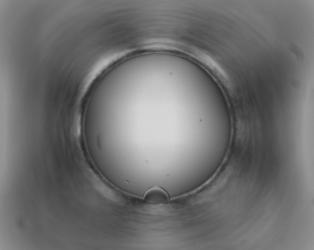 X0000114141376200910221516