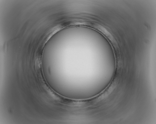 X0000114141377200910221516