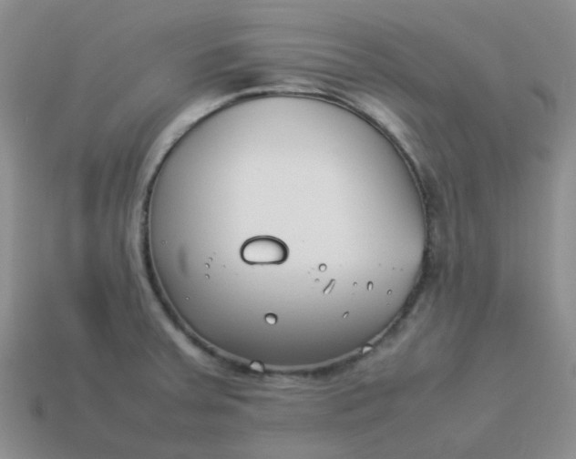 X0000114141379200910221516