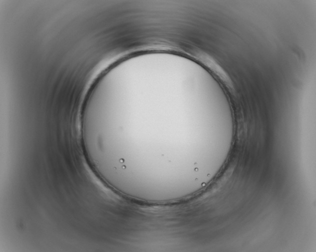 X0000114141380200910221516