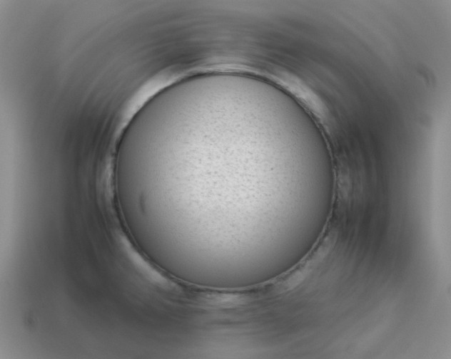 X0000114141382200910221516