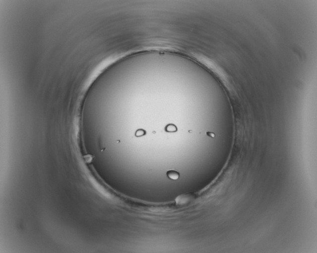 X0000114141383200910221516