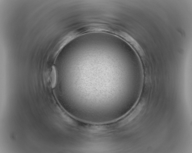 X0000114141385200910221516