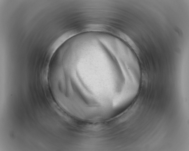 X0000114141386200910221516