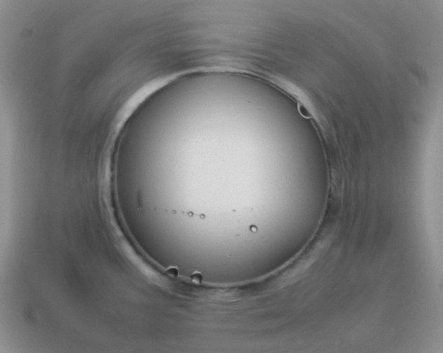 X0000114141387200910221516