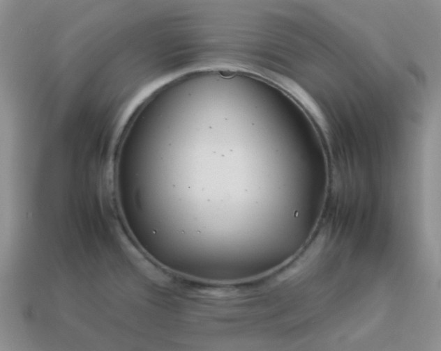 X0000114141388200910221516