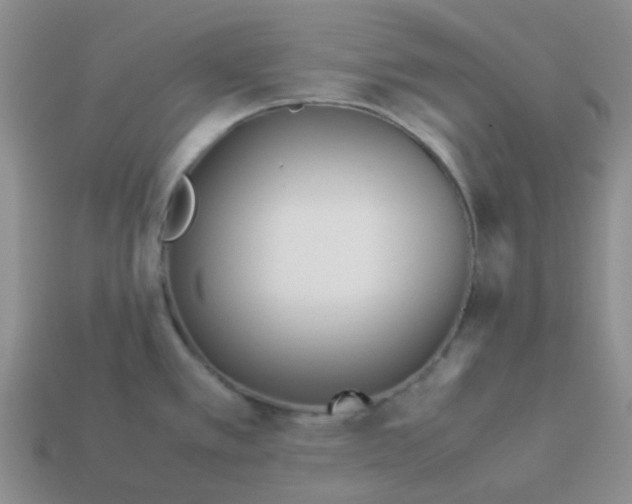 X0000114141389200910221516