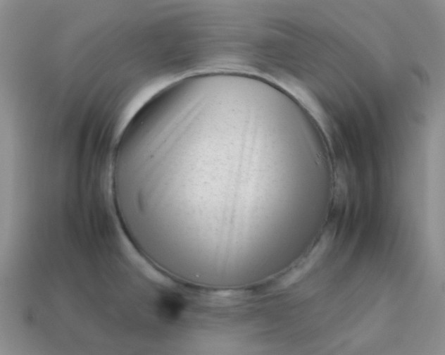 X0000114141390200910221516