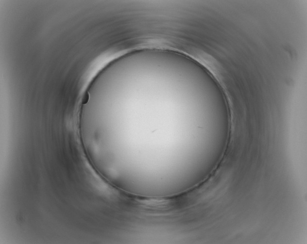 X0000114141392200910221516