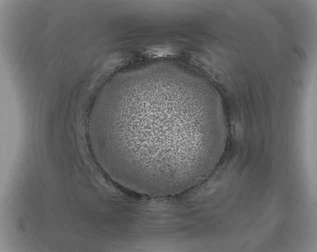 X0000114141393200910221515