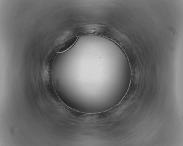 X0000114141394200910221515