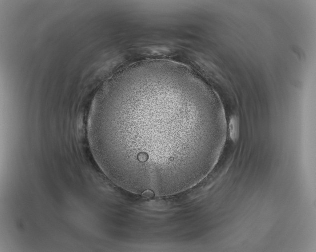 X0000114141395200910221515