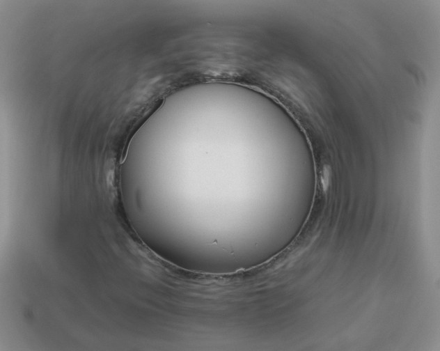 X0000114141396200910221515