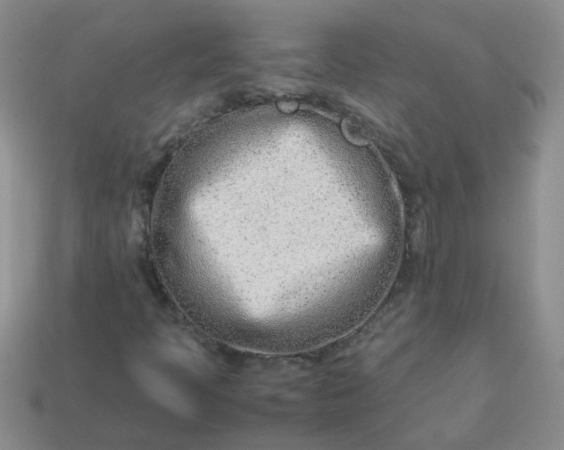 X0000114141397200910221515