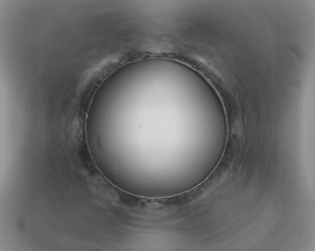 X0000114141398200910221515