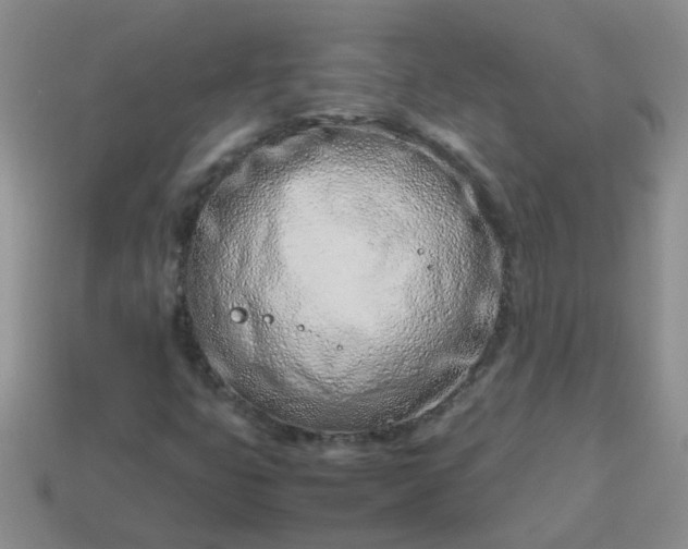 X0000114141399200910221515