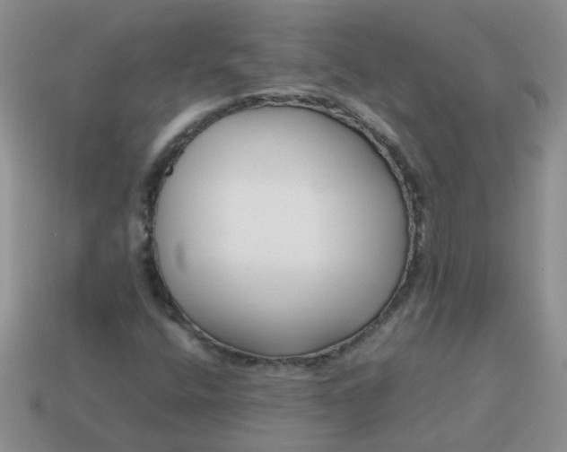 X0000114141400200910221515