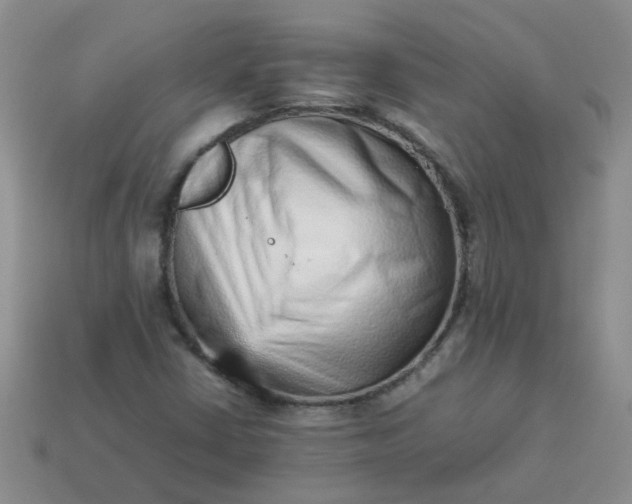 X0000114141402200910221515