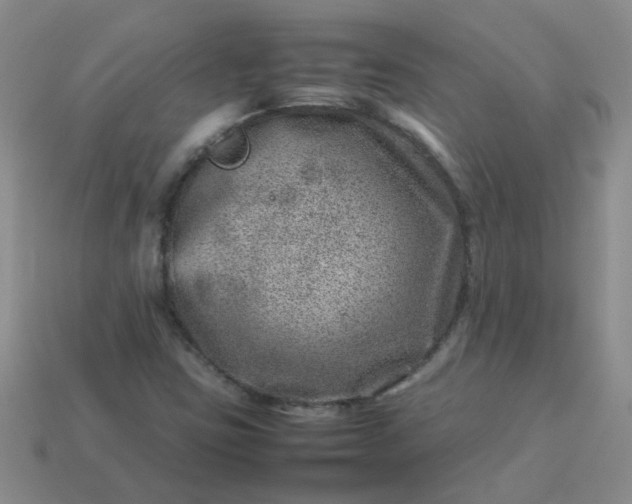 X0000114141403200910221516