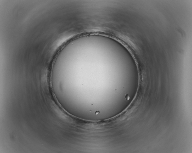 X0000114141404200910221516