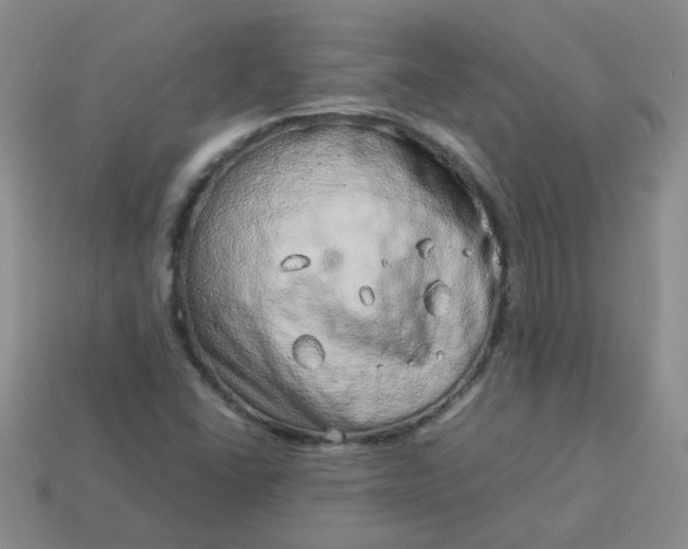 X0000114141406200910221516