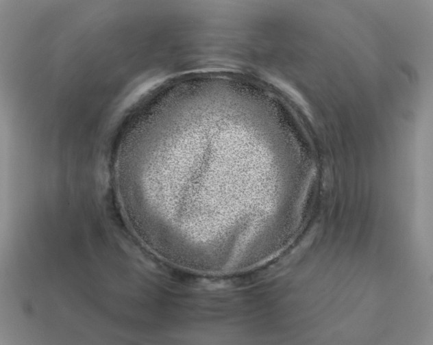 X0000114141407200910221516