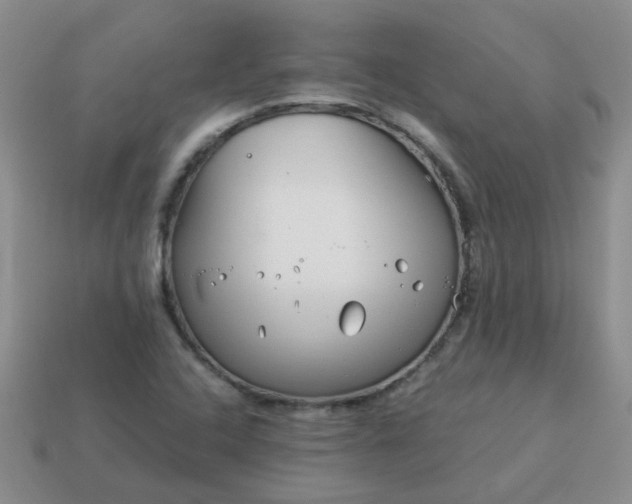 X0000114141408200910221516