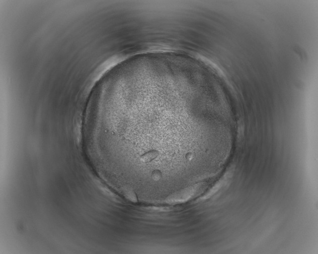 X0000114141409200910221516