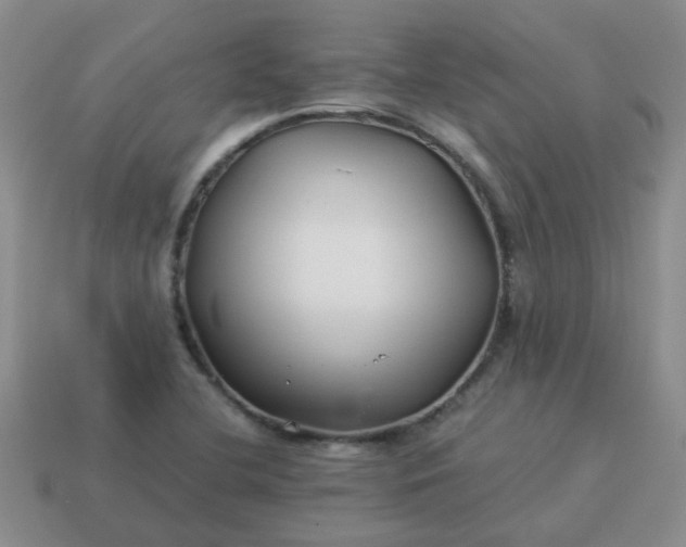 X0000114141412200910221516