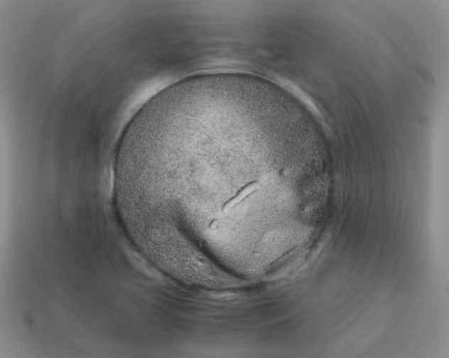 X0000114141413200910221516