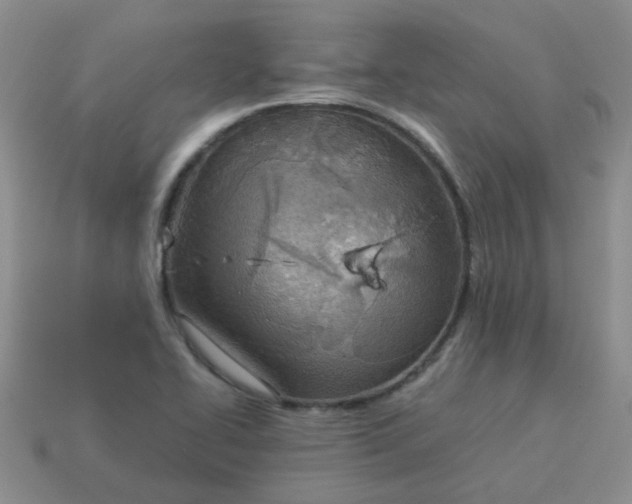 X0000114141414200910221516