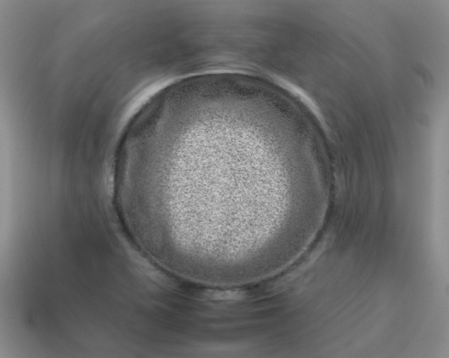 X0000114141415200910221516