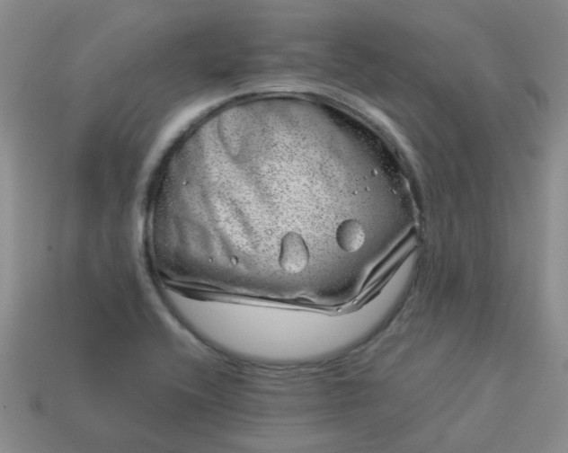 X0000114141416200910221516